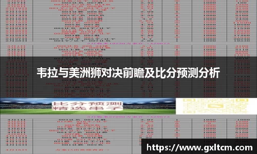 韦拉与美洲狮对决前瞻及比分预测分析